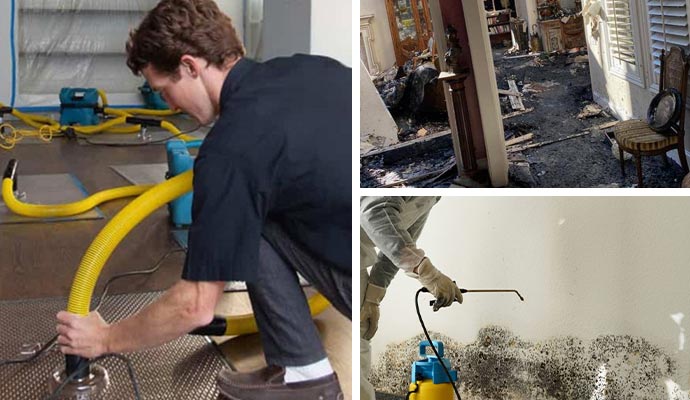 collage of water, fire and mold damage restoration service